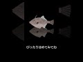 何て名前の魚でしょうか？（うんこをまき散らす魚）答えは説明に書いてあるよ