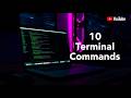 10 Mac Terminal Commands Every Developer Should Know (Beginner Friendly Guide)