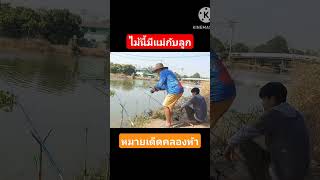 ตกปลานิลคลองห้า#fishing