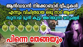 ആൻഡമാൻ നിക്കോബാർ ദ്വിപ്‌ |സുനാമി വരെ മുൻകൂട്ടി അറിഞ്ഞ ജനത | പിശാചിന്റെ കനിയോ..History Of Andaman