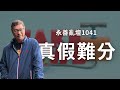 【永善亂壇】第1041集：真假難分