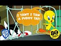 Looney Tuesdays | Every Time Tweety Said 'I Tawt I Taw a Puddy Tat!' | Looney Tunes | @WB Kids