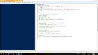 PowerShell 5 scripting checks