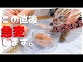 【はじめての離乳食】一口食べたら変わります。震えるほどにうまいそれがロイヤルカナン★おしゃべり猫発見！【保護猫生活27日目】