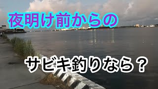 夜明け前からのサビキ釣りなら？衣浦湾