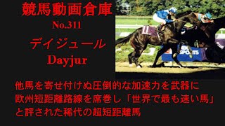 【競馬】デイジュール　Dayjur【No311】