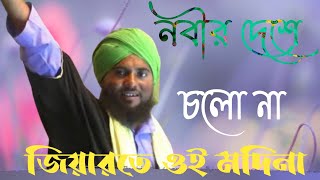 আলিমুদ্দিনের একদম নতুন গজল নবী দেশে চলো না  জিয়ারত ই মদিনাFebruary 7, 2021