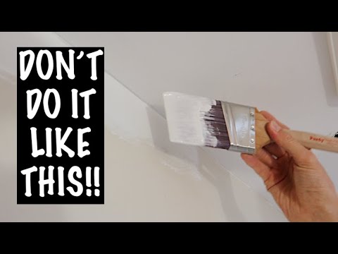 10 Useful Tips for BEGINNERS for Using a BRUSH!!