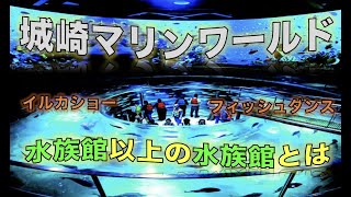 城崎マリンワールド【トラチャンネル】