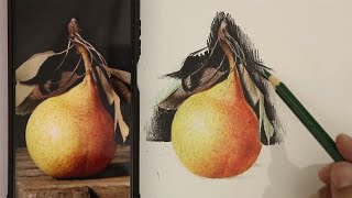 A very realistic Pear! - Learn still life drawing with colored pencil from A to Z