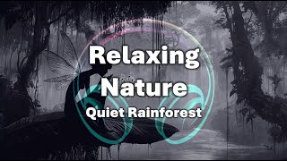 [1 hour] Relaxing Nature Music🎵 Quiet Rainforest | Listen to the Whisper of Leaves