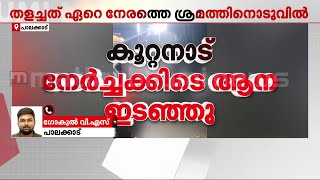 ഇടഞ്ഞയാനയെ തളയ്ക്കാന്‍ ശ്രമിക്കുന്നതിനിടയില്‍ പരിക്കേറ്റ പാപ്പാന്‍ മരിച്ചു  | Koottanad