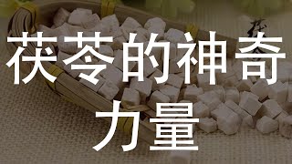 探索茯苓的神奇力量：揭示其健康奥秘