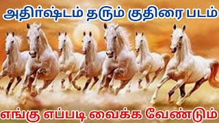 பணம் நிம்மதி த௫ம் ஏழு குதிரை படம்||7 Horse Painting Vastu Direction||AKM Positive Energy