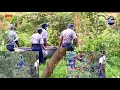 AKAWANIKWA AKAFA AKAWORA MUSANGO KUBINDURA ZURO 27DEC, MUBVUNZO AKAZVISUNGIRIRA HERE OR AKAPONDWA?