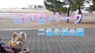 子犬と二色の浜公園を散歩してみました