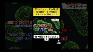 【ミトコンドリアの謎🫛】大きな2つの特徴とは？🫛🫛🫛