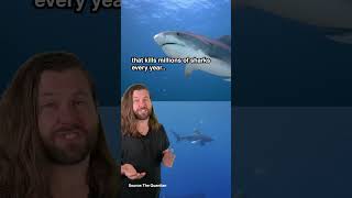 Here’s 46 seconds of good news from around the world! #shorts