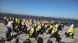 2022.黒潮よさこい祭り(利根川会場)鴉