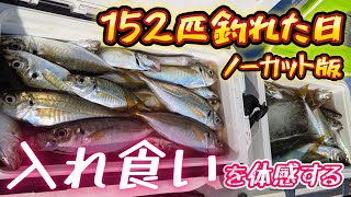 【アジ入れ食い】実際このペースで釣れる！東京湾でアジの船釣りをノーカットで体感！