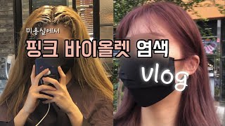 [백수 vlog] 핑크 바이올렛 염색 결과는? | 핑크 바이올렛 렌즈를 찾아서 (렌즈미 선셋 3칼라 바이올렛, 홀로리스 블라썸 핑크, 피치 크러쉬)