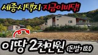 (초급매) 세종시 택지 초급매 2천만원으로 인수가능 세종시 부동산 지금이 바닥입니다