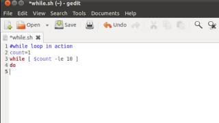 Shell Scripting Tutorial 39 The 'while' Loop