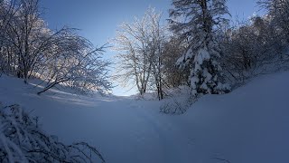 Nevegal in veste invernale. Monte Faverghera Belluno Italia