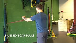 Banded Scap Pulls