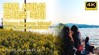 [4k] 여름이 오기전 반포 서래섬 유채꽃 축제ㅣBanpo Seorae Island rape flower festival.