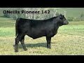 oneills pioneer 142