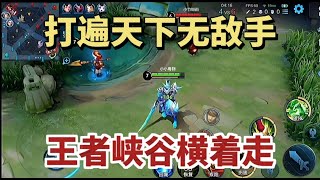 无情关羽打遍天下无敌手，王者峡谷横着走，就问你服不服！【德云一哥无情】