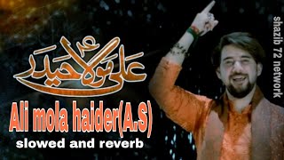 Farhan Ali Waris || ali mola haider || manaqbat 2023 || 1444 slowed and reverb @SyedShazibHussain