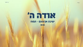 אודה ה' - ישיבת אבינועם, תפוח