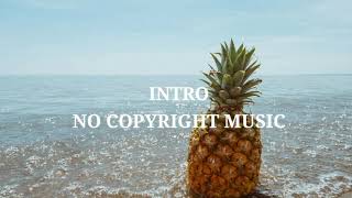 PINEAPPLE - JAYJEN [ INTRO NO COPYRIGHT MUSIC ] | RANDOM TV