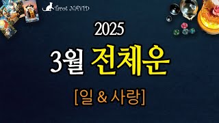 [타로] 🌱 3월 전체운 [2025년 3월] 🐣