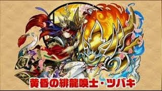 【パズドラ】  無限回廊【5×4マス】　ツバキPTパート１