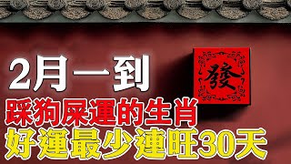 如果你能做到這些，你將在2月改變命運2月開始踩了狗屎運的生肖，家裡人也可以沾光，都能花開富貴，人人都遇到了喜事兒【佛語】#運勢 #風水 #佛教 #生肖 #佛語