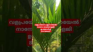 എല്ലാരും ജൈവ കൃഷിയിലേക്ക് ജൈവ കൃഷി ഇസ്രായേൽ നാനോ ടെക്നോളജിയിലൂടെ   കൂടുതൽ  വിവരങ്ങൾക്ക് 8547666622