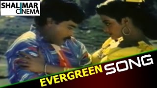 Evergreen Hit Song of The Day 45 || Chali Gaali Video Song || Shalimarcinema || Shlimarcinema
