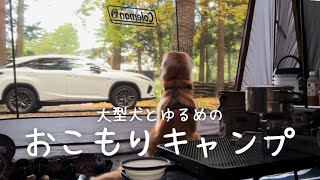 【キャンプVlog】焚火なし料理なし/電気も使ったって、これもキャンプ【テント泊】【Coleman】