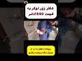 کفتر های زور لوگر شوق یک کفتربه 1500 دالر