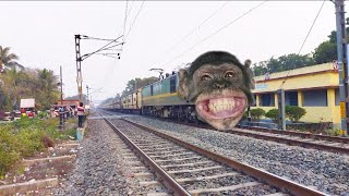 Dangerous Chimpanzee Headed Teesta-Torsa Express Furious Moving Throughout At Railgate