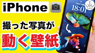 【iPhone】ロック画面に動く壁紙を設定する方法！Live Photos