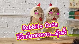 Rabbito Cafe รีวิว เก็บตกความมุ้งมิ้ง