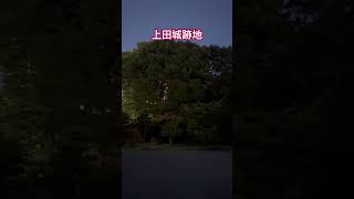 【長野県上田市】上田城跡地。適当に長野市内からドライブしてたら、長野県上田市に到着。上田城って城無いんだね…泣　#shorts