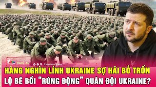 Hàng nghìn lính Ukraine sợ hãi bỏ trốn, lộ bê bối “rúng động” quân đội Ukraine?