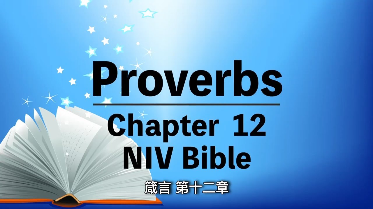 Niv Bible The Book Of Proverbs 12 Audio Bible With Text 有聲聖經英語 中英字幕 箴言