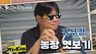 1st. 더케이야생화 김부장님과 함께하는 야생화농장 훔쳐보기!