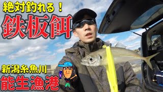 【新潟糸魚川】能生漁港でこの餌反則かも！？絶対釣れる餌はこれ！ゲーム性無し